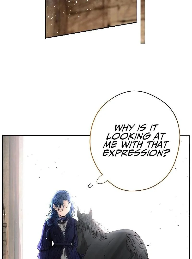 74288329 800 1080 55002